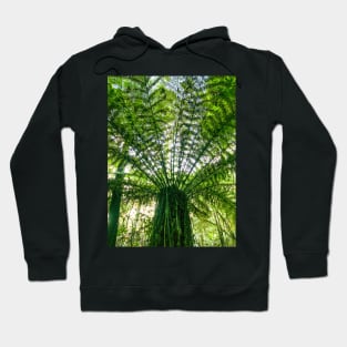 Tree Fern Hoodie